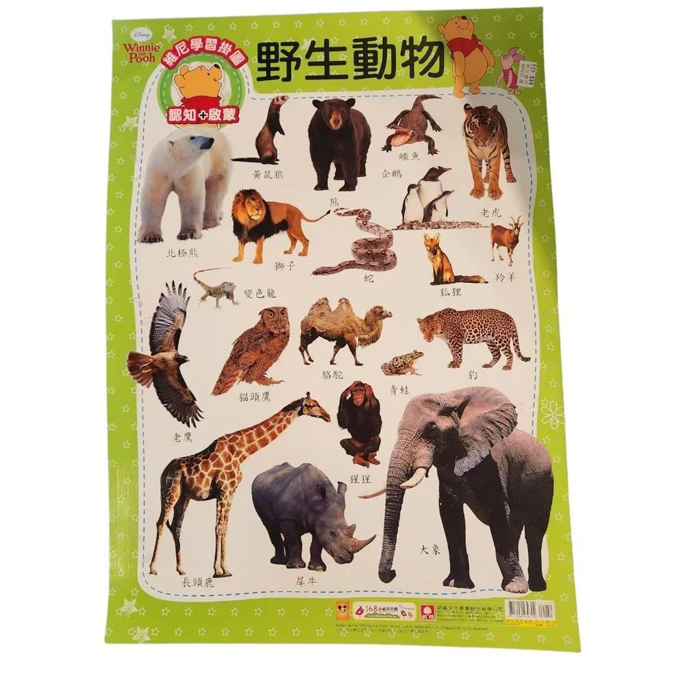 Unbranded set learn